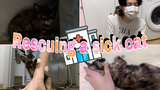 SUB) การช่วยเหลือแมวป่วยช่วยแมวป่วยคู่รักเกย์แมวน้อย