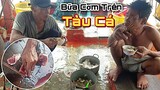 Bắt cá ngát nấu canh chua ăn bữa cơm trên ghe | Fishing