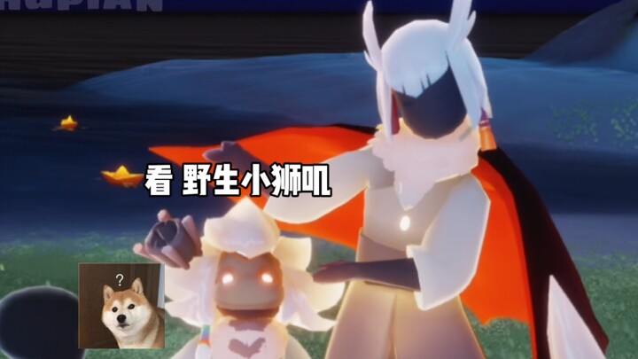 Aoooooo, thích quá bé Quang đáng yêu ơi là đáng yêu！！！！！！