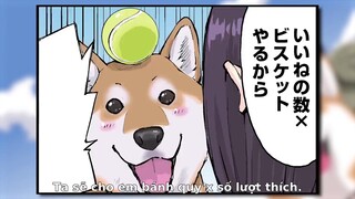 Ngày Tận Thế Với Chú Chó Shiba Của Tôi EP 26 [Sub Việt]