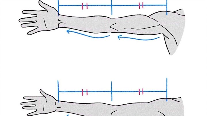 【kawaiisensei】The Manga Basics You Absolutely Need to Know: “Hand Proportions for Men and Women”