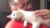 Cute Cats And Their Owner Have The Sweetest Bond - Cat Show Love