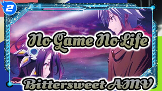 No Game No Life AMV (angsty ending) | Nepenthe - I Wish To Be Your Daylily_2