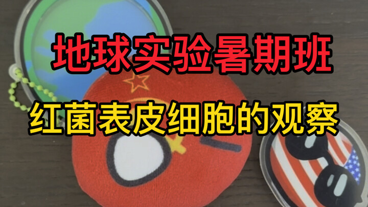 【ggd】地球科学实验之红菌表皮细胞的观察
