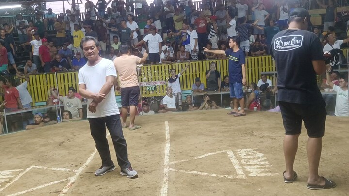 KREM plaridel cockpit arena 12 17 2023 1st fight win#sabong