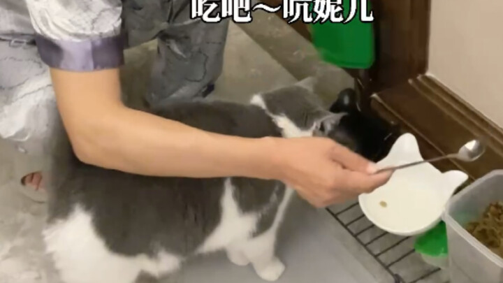 Ngga mau makan ya udah, kok malah marah-marah sih?