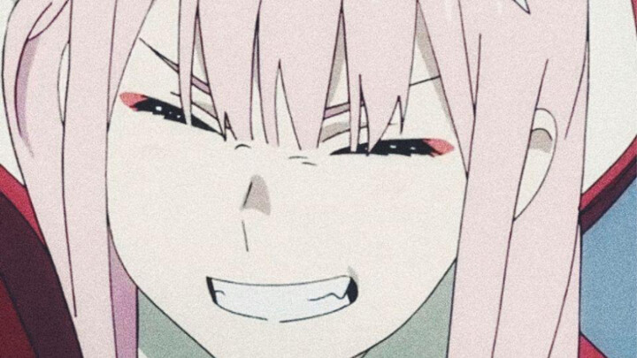 No regrets in this life