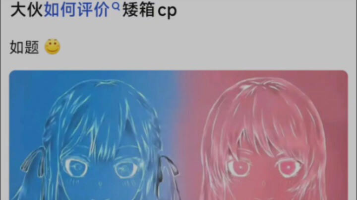 Apa pendapat kalian tentang pasangan Aixiang?