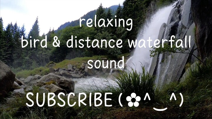 relaxing birds chirping & distance waterfall sound