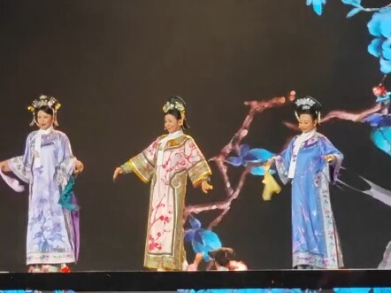 真的笑死，芒果台你搞啥子呀！让端皇贵妃、齐妃、欣贵人来跳「无价之姐」了。甄嬛传还有什么没有开发呀！！！！