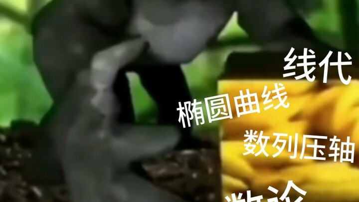 เมื่อคุณใช้เวลาตอนเย็นเรียนเพื่อทำโจทย์คณิตศาสตร์