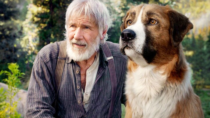 Chó là người bạn tốt nhất của con người: khi chủ gặp nạn, chúng sẽ ngay lập tức lao vào cứu người — 