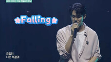 Falling -柳演锡(满级大佬)