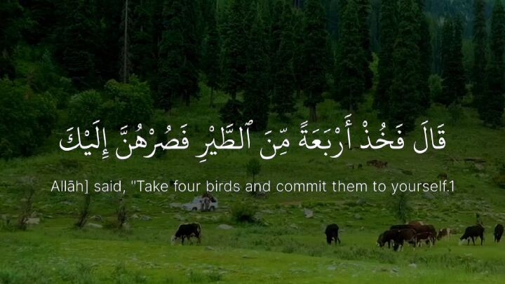 Mashaallah