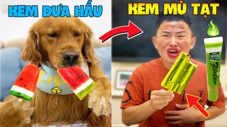 Thú Cưng Vlog | Đa Đa Đại Náo Bố #3 | Chó gâu đần thông minh vui nhộn | Funny pets smart dog