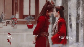 “世人皆知那位玩世不恭的少年军师是王的命。”