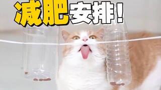 Angry! My nationality was twisted by clickbait accounts, and they even said my cat is chubby...