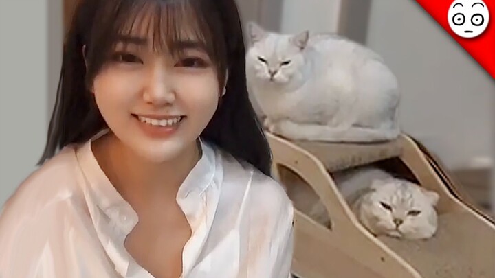 咪🐈咪🐈之🐈音