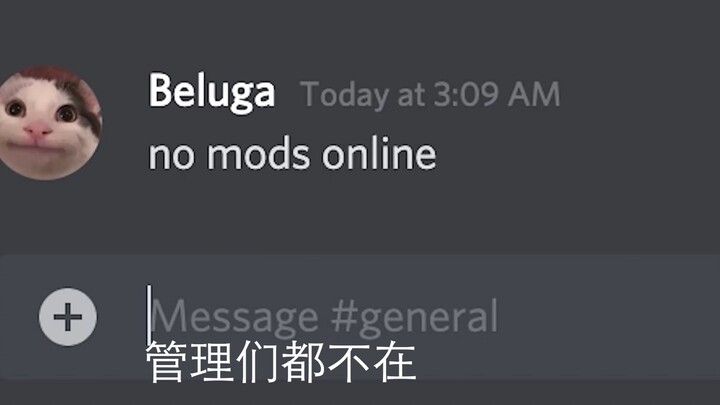 [Beluga và những người bạn] Trong núi không có Mod, Beluga làm vua