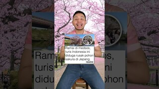 Turis Indonesia RUSAK sakura di Jepang? #shorts