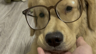 بعدما وضعت النظارة، بدت وكأنها صديقتي المقربة التي تتعرض باستمرار للظلم!