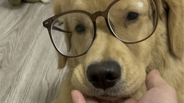 Setelah memakai kacamata, aku jadi mirip banget sama sahabatku yang selalu kena jebakan itu!