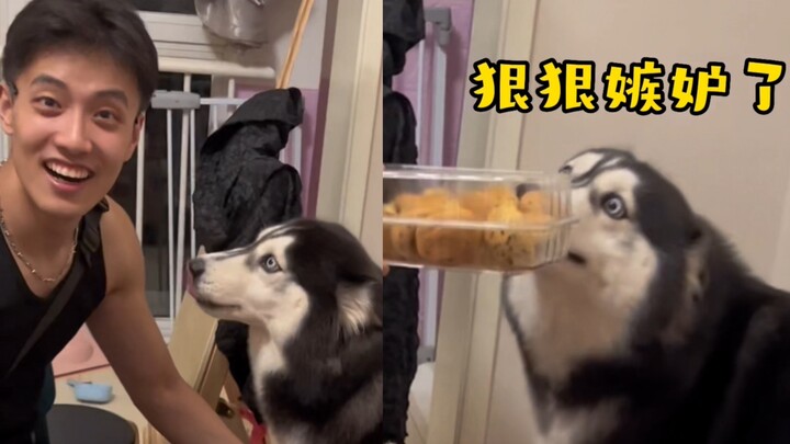 Dog: Fine, just leave me at home already! But you didn’t even buy me a single thing at the supermark