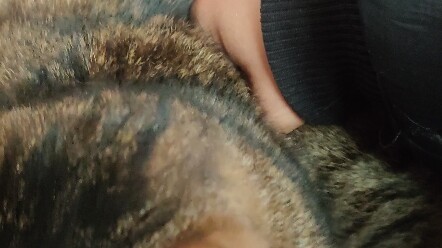 الجو هنا دافئ حقًا.