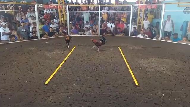 Gilmore win