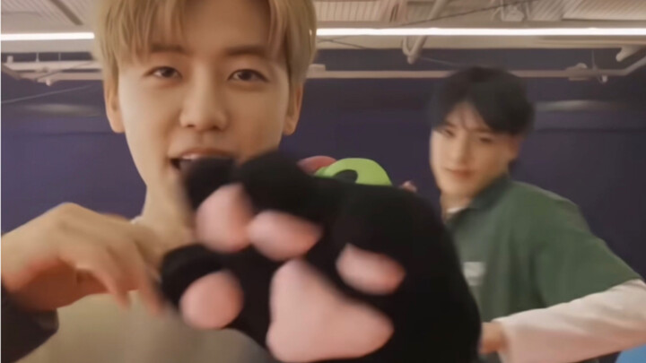 【Roh Jae-min】Cakar Kucing fokus Wajib Ditonton oleh Pria Tangguh