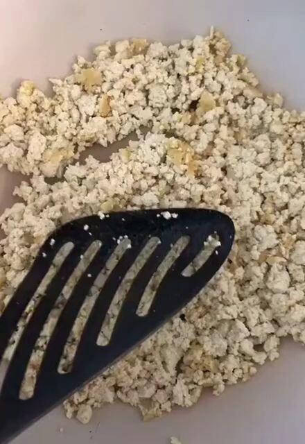 الثعلب العجوز!