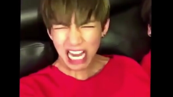 Kim Tae-Hyung and Jeon Jung-kook Were Like Two Tigers in the Past