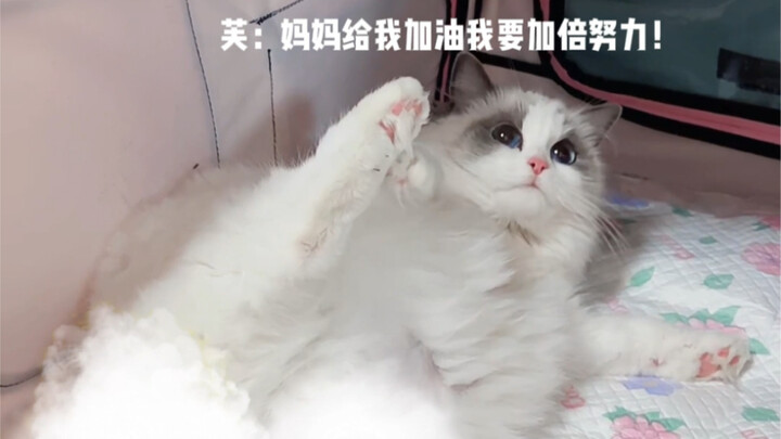 Xiaofu's Birth Diary—Guess How Many Little Babies We Had