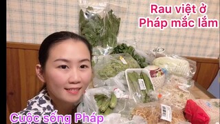 Lấy chồng Tây/Rau Việt ở Pháp rất đắt đỏ| Cuộc sống thôn quê nước Pháp/Cathy Gerardo cuộc sống pháp