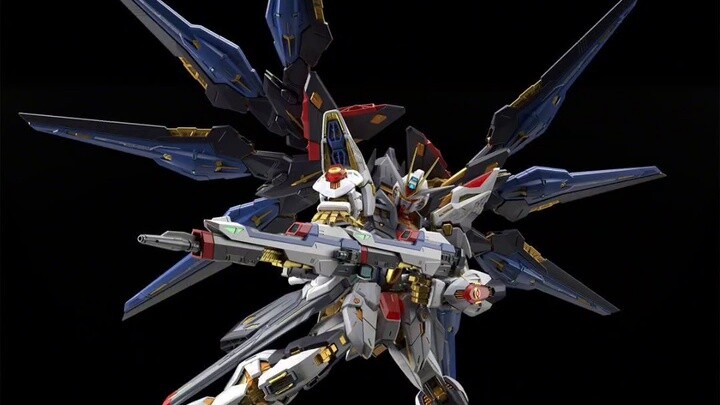 24 years ko latest information Reiz Seiko mgex strike freedom
