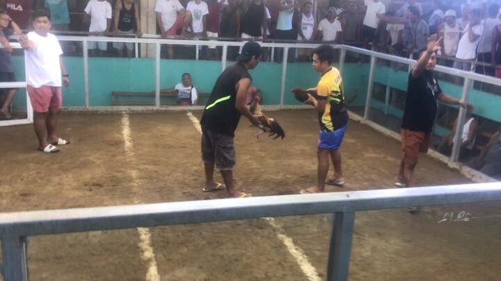 (Win) Partida Bulag pa isang mata