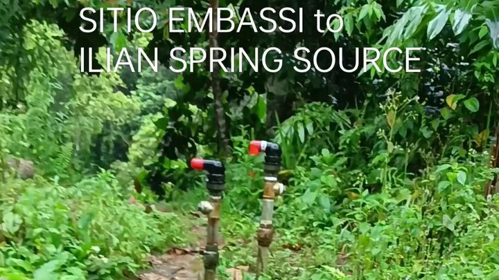 Mainline pipe repair