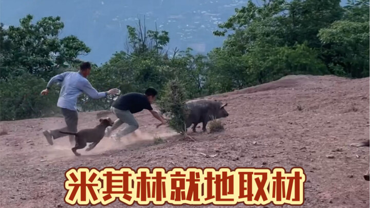 Hãy để cô gái dopamine của tôi thưởng thức bữa ăn Michelin ở làng