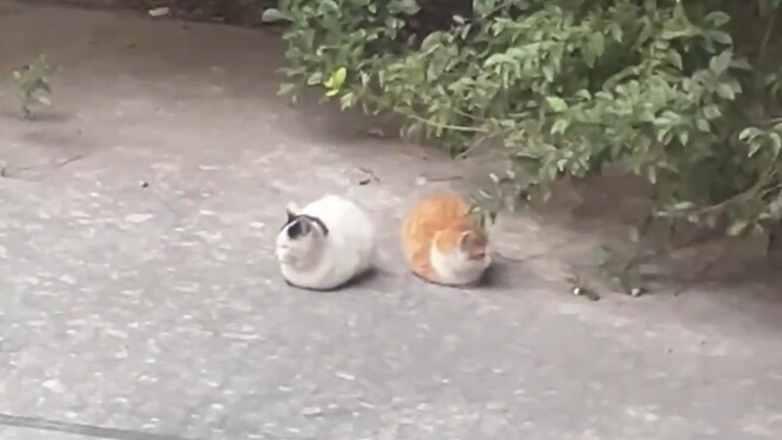 Không để ý đến bạn cũng không chia tay