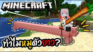 minecraft อภิมหาหมูยาว ที่แข็งแกร่งที่สุด!