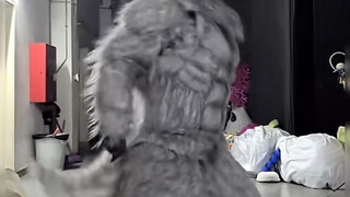 有求必应的小狼谁能不爱