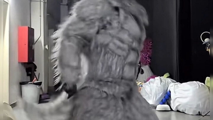 有求必应的小狼谁能不爱