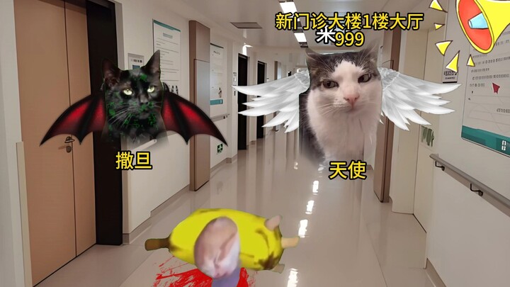 医生：谈判失败 准备硬抢