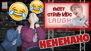 A Guide to Stray Kids Laugh (2020) | NSD REACTION
