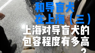 盲人第一视角体验上海地铁无障碍建设