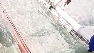 sand bar