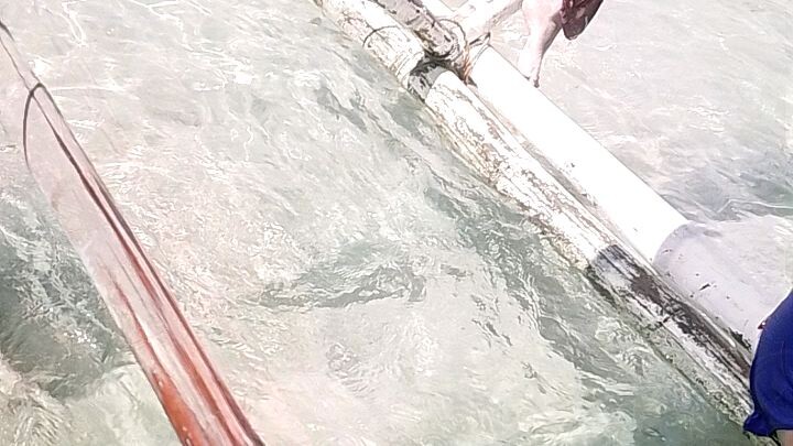 sand bar