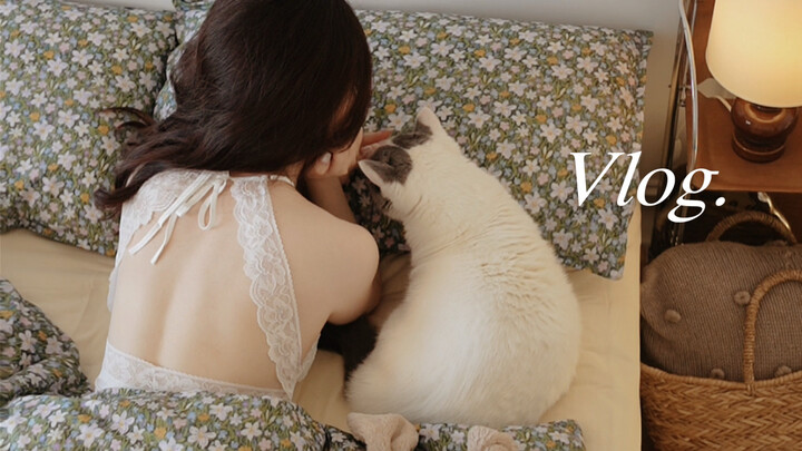 Sống một mình ở tuổi 39 | Dường như tôi đã có được cuộc sống trong mơ thuở nhỏ