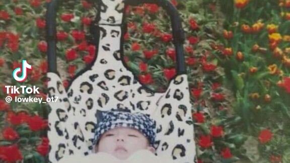 🐯VVBEAR BEFORE AND THEN🐻