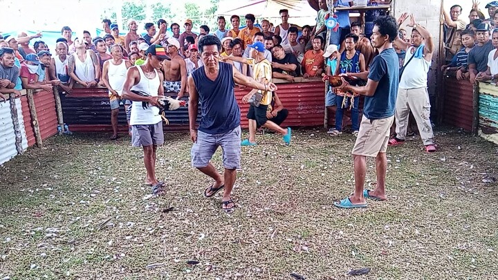 pagalingan my red melsims win